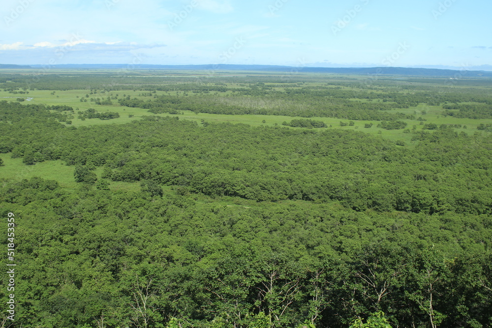 Naklejka premium 釧路湿原