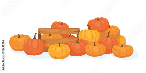 Set of orange and yellow ripe pumpkins. Local vegetables in a wooden box. Big autumn harvest. Healthy freshly harvested organic crops. Vector illustration.