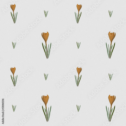 Seamless pattern with hand drowning yellow crocus. Cute tender organic flowers illustration