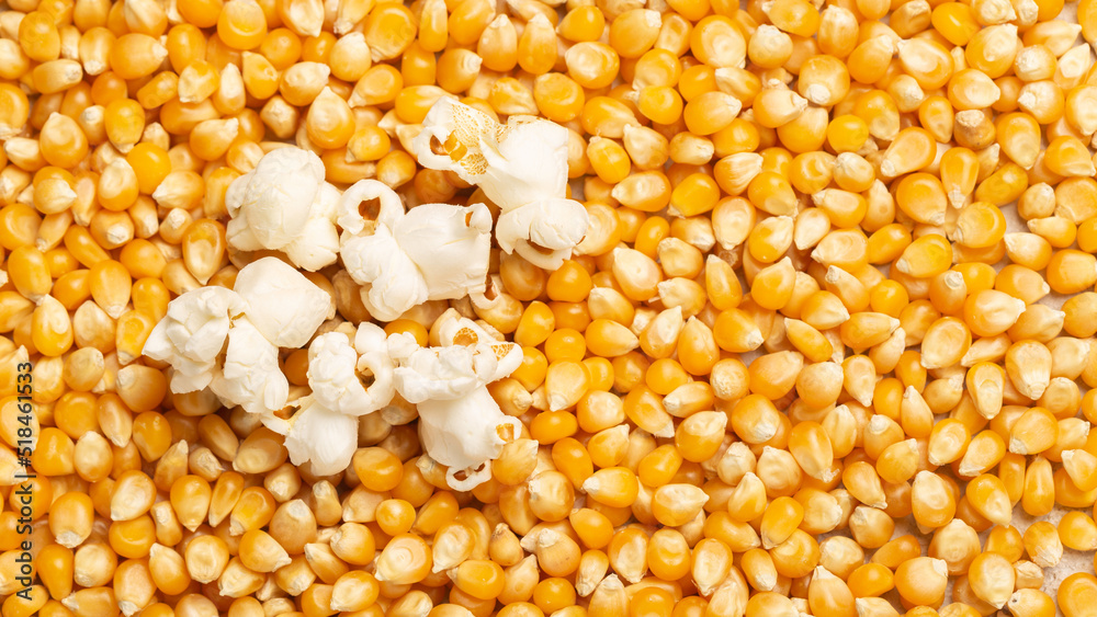 pile of corn kernels for popcorn, top view pile of corn kernels for popcorn, top view