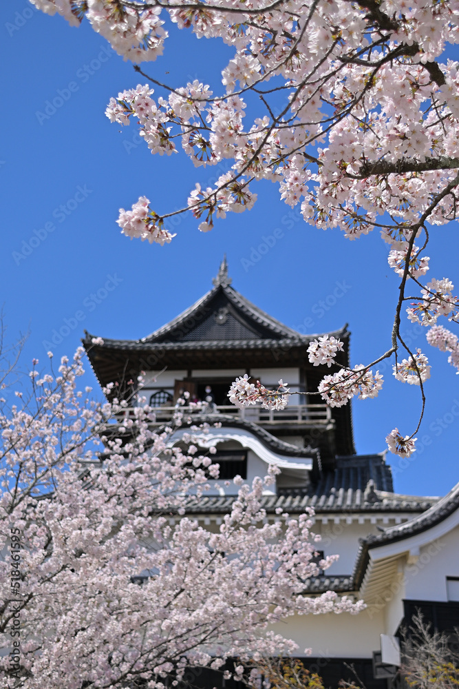 城と桜