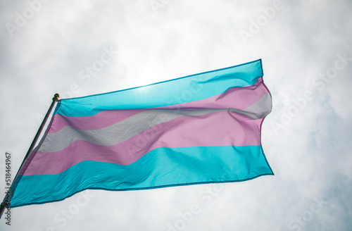 Transgender flag photo