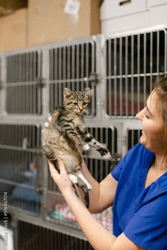 A Woman Smiles and Holds Up a Kitten at an Animal Shelter A Woman Smiles and Holds Up a Kitten at an Animal Shelter