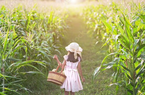 Adorable girl playing in a corn field on a beautiful summer day. Pretty child holding a corb of corn. kids farmers with corp corn havesting season in summer photo