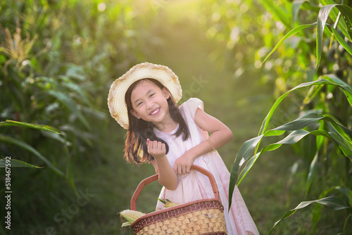 Adorable girl playing in a corn field on a beautiful summer day. Pretty child holding a corb of corn. kids farmers with corp corn havesting season in summer photo