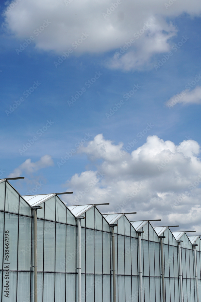 Row of greenhouses