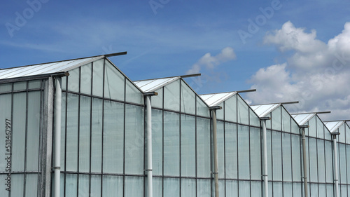 Wallpaper Mural Dutch greenhouses in a row Torontodigital.ca