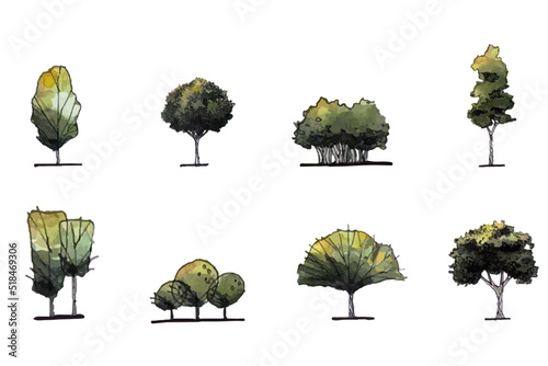 Tree-Front-View-Drawing-Sketch-Set