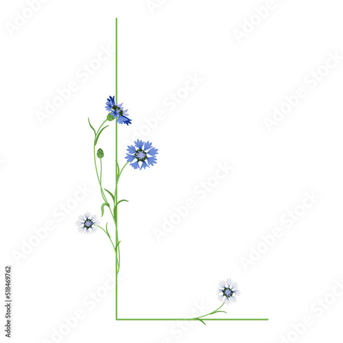 Beautiful letter L with blooming branches of cornflower or knapweed plant (Centaurea). Floral font. Botanical alphabet with blue flowers.