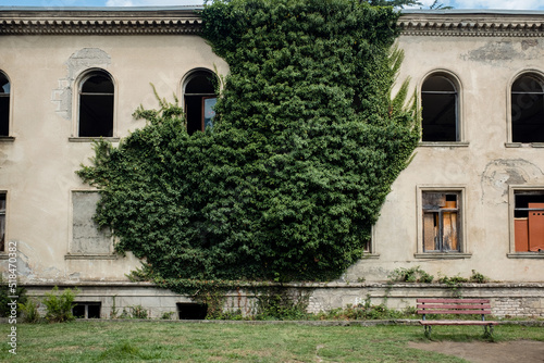 Abandoned building overgrown with green plant