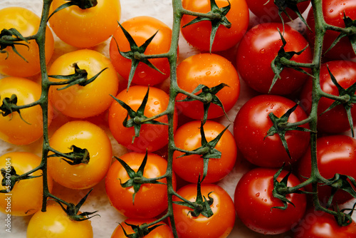 Colorful tomatos photo
