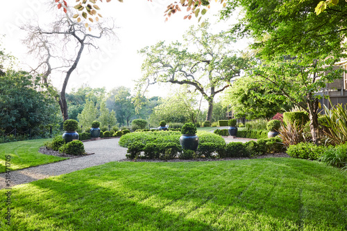 Lush landscaping grounds in backyard photo