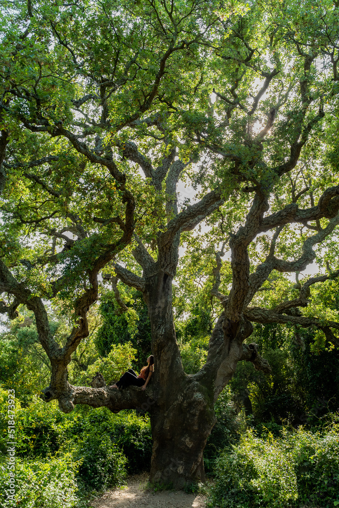 Big tree with Fierce powerful woman on top it Big tree with Fierce powerful woman on top it
