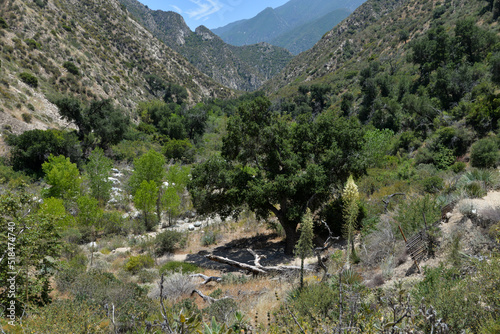 Tujunga, California, USA - May 9, 2022: Beautiful landscape on the hiking trail to Canyon Falls photo