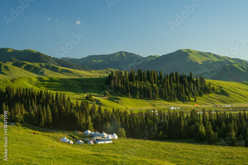 Fototapeta Naklejka Na Ścianę i Meble -  many yurts on grassland in sunset