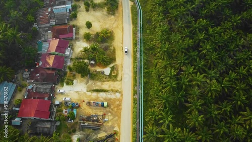 Cinematic Drone Footage of white Mazda Light Vehicle sequences in the middle of the jungle surrounded by palm oil trees deforestation located in Indonesia in full HD. photo