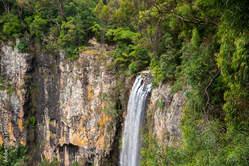 Rainforest, waterfall nature views in Springbrook National Park in Queensland, Australia. 