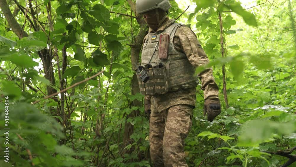a military scout in an ambush crouched down and awaits danger Ukrainian military man signals with his hand to stop Fighting in the forest Observation and gathering information about the enemy army a military scout in an ambush crouched down and awaits danger Ukrainian military man signals with his hand to stop Fighting in the forest Observation and gathering information about the enemy army