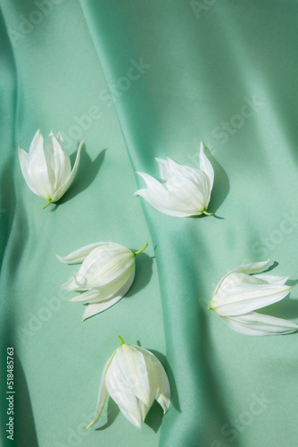 White flowers on green background photo