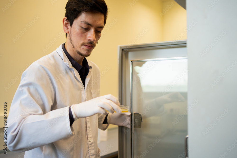 Scientist Checking A Petri Dish In The Laboratory. Scientist Checking A Petri Dish In The Laboratory.