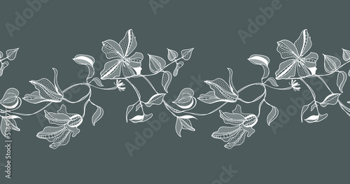 lace border, clematis flowers, vector illustration