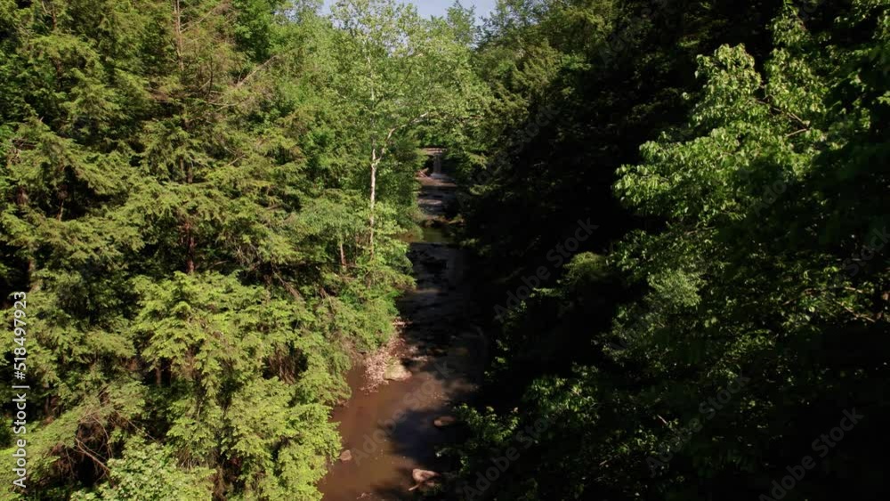 Bridge on small river crossing green forest, aerial drone view Bridge on small river crossing green forest, aerial drone view