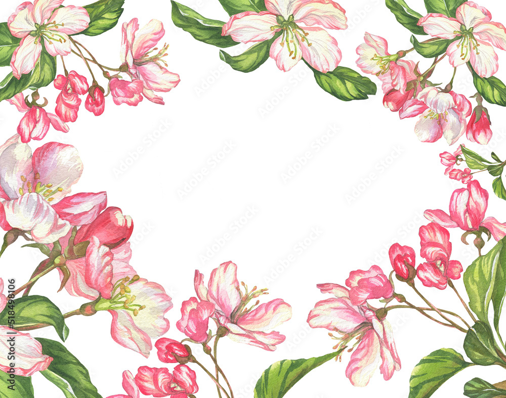 flowers. watercolor botanical illustration cherry blossoms. frame for cards and invitations