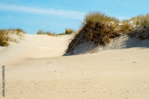 Sand dunes on the island of Rømø in Denmark