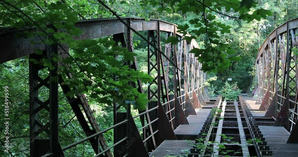 Old railroad bridge with green leafs waving in the wind, abandoned railroad Old railroad bridge with green leafs waving in the wind, abandoned railroad