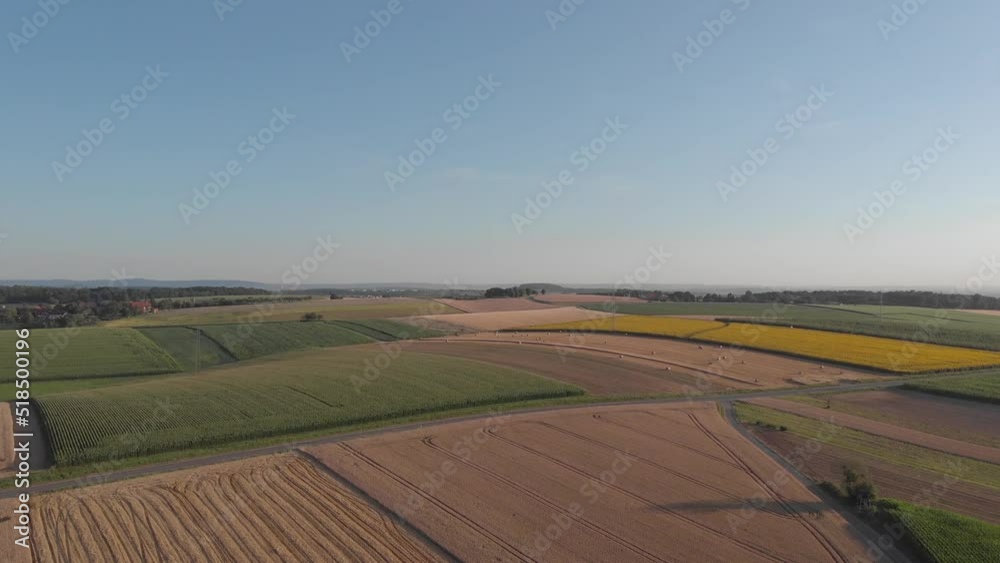 Drone aerial view of the field while drone lifting up to an altitude focusing on a yellow field of Sunflower, blue sky and other fields in view Drone aerial view of the field while drone lifting up to an altitude focusing on a yellow field of Sunflower, blue sky and other fields in view
