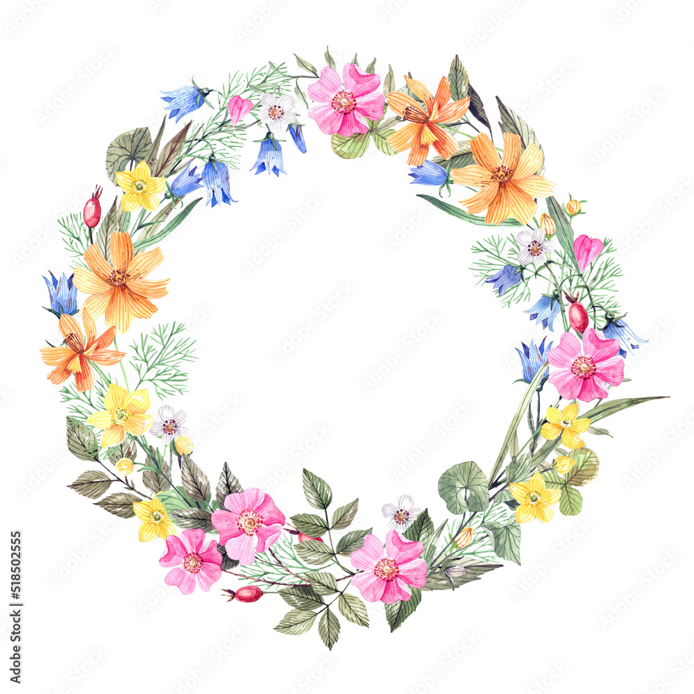 Floral wreath of field, wild plants watercolor illustration isolated on white background. Rosehip, cosmos, bluebells round frame, flower wreath.