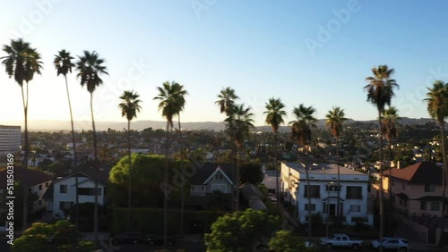 Beautiful drone shot panning a palm tree lined street dotted with houses and cars in the Echo Park neighborhood of Los Angeles, California photo