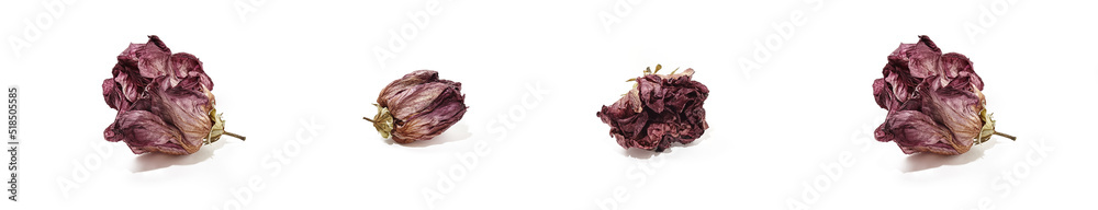 Dried hibiscus rose flower heads isolated on white background. Set of wilted rose flower Dried hibiscus rose flower heads isolated on white background. Set of wilted rose flower