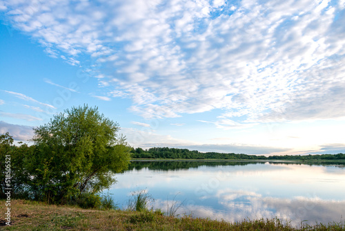 Landscape, A tree with a lake with a reflection of the sky with clouds, warm summer evening