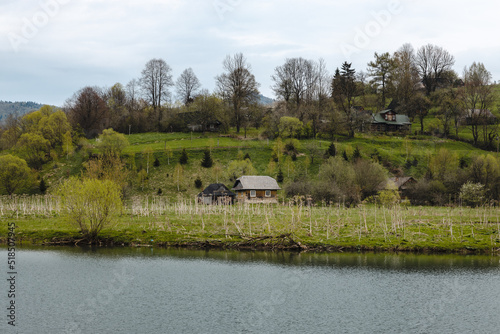 Beautiful landscape with an old house near a river in the Carpathian mountains in spring With a dry-out cow parsnip (hogweed) plant