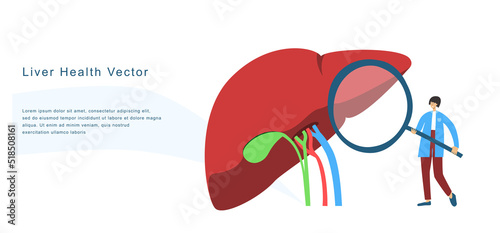 Tiny physician examines human liver with magnifier to diagnose its diseases. Medical observation flat vector banner for diagnostic center, laboratory, clinic, research institution, conference etc. 