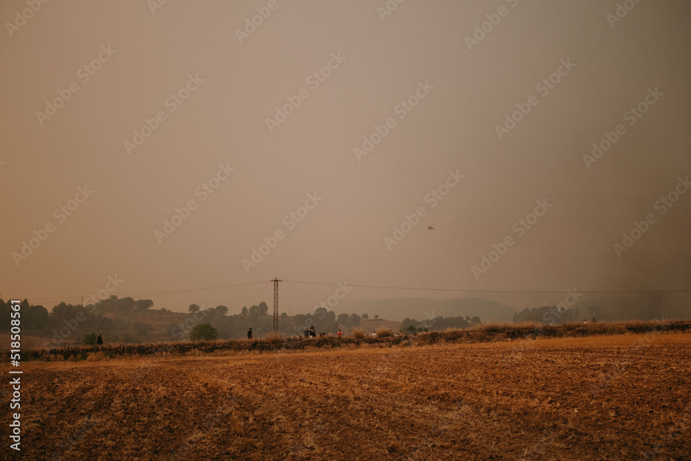 Fototapeta premium plowed field at sunset