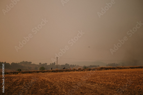 Fotografia plowed field at sunset