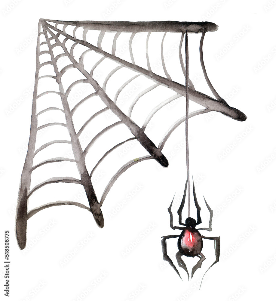 A watercolor hand drawn spider with a cobweb. Isolated at white background. A watercolor hand drawn spider with a cobweb. Isolated at white background.