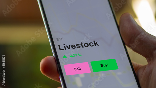 An investor's analizing the livestock etf fund on a screen. A phone shows the prices of domesticated animals raised in an agricultural commodities animals cows, pigs, cattle and chicken