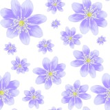 Hand draw violet flower seamless pattern on white background.