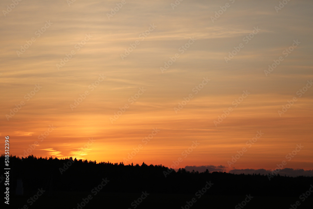 Sunset behind the forest in europe, background texture calm, peace, europe, beautiful sky