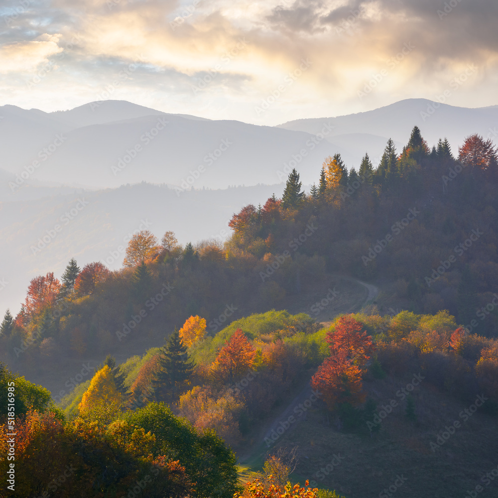 forested rolling hills in evening light. mountain ridge in the distance. beautiful landscape in autumn