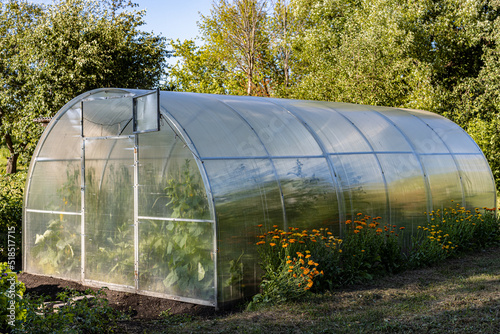 greenhouse with open door stands in the garden © Oleg Opryshko