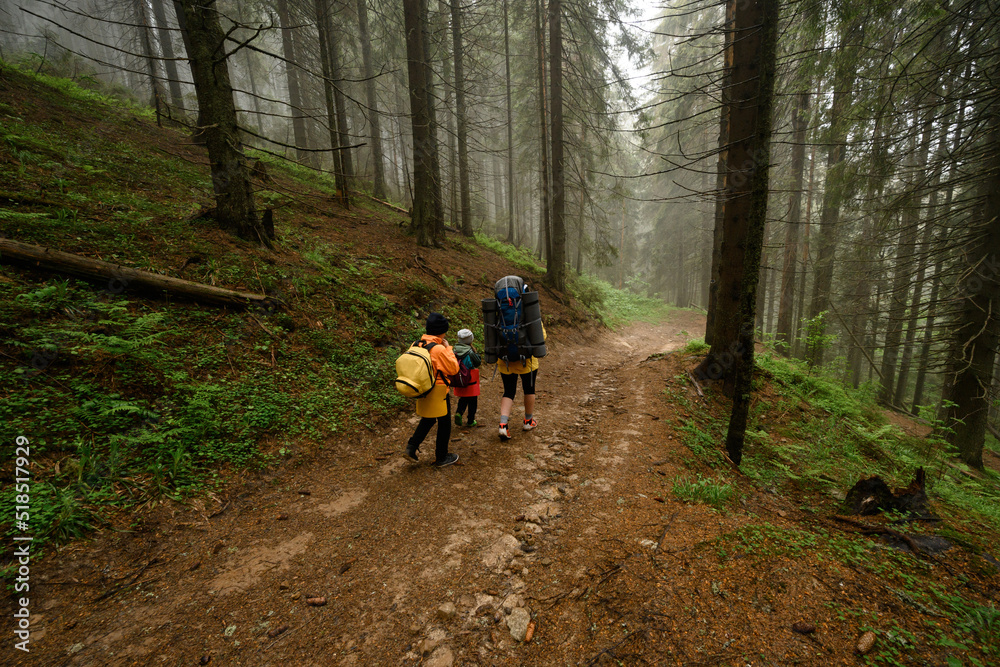 Mother with two children and backpacks in the forest, hiking with children, tourists in the fog between tall trees.