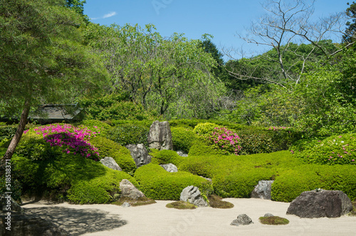 鎌倉 明月院の美しい枯山水の庭園