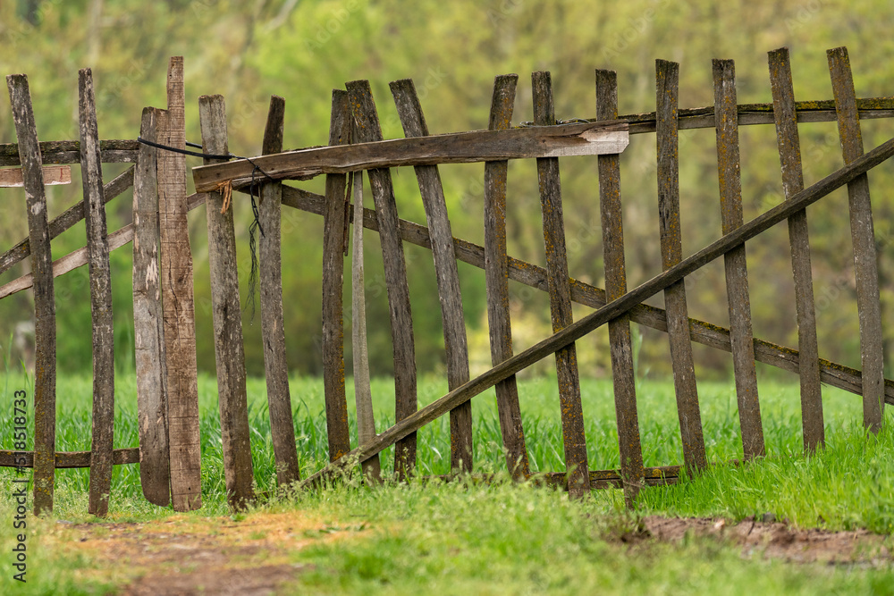 Fototapeta premium Selective focus shot of dirt road in mountain.