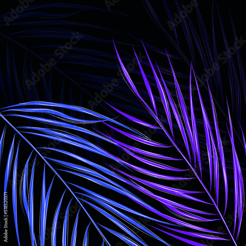 Abstract dark background with colorful palm leaves. Colorful flat illustration for your creativity.