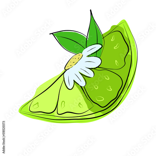 Vector isolated lime wedge in doodle style. Colored flat illustration for your creativity.