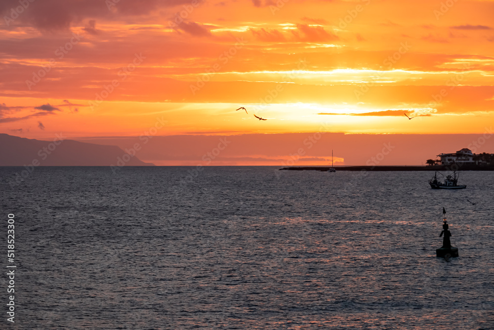 Romantic sunset seen from lookout Cypelek Los Cristianos, Tenerife, Canary Islands, Spain, Europe. Silhouette of birds entering frame. Fishermen boat on the way to Island of La Gomera in the distance